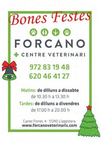 LLAGOSTERA NAVIDAD 2025 第 24 页