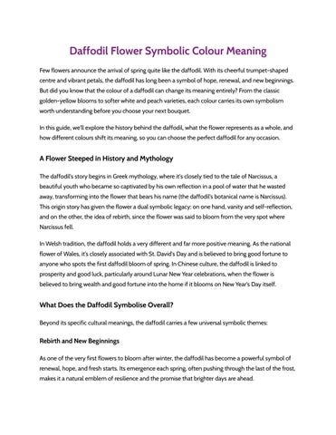 Daffodil Flower Symbolic Colour Meaning