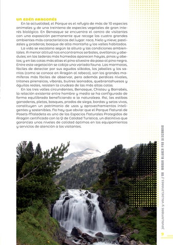 JAVALAMBRE Y VALDELINARES NIEVE 2025 第 9 页