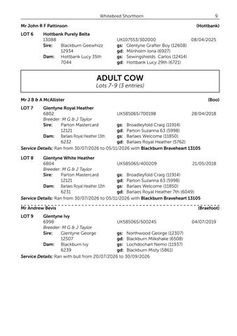 Galloway × Whtiebred Shorthorn 061126 第 11 页