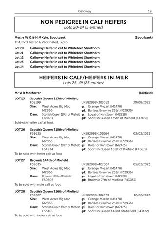 Galloway × Whtiebred Shorthorn 061126 第 21 页