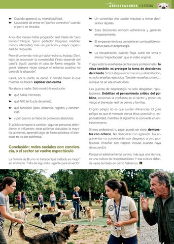 ADIESTRADORES CANINOS ANACP Nº1 第 15 页