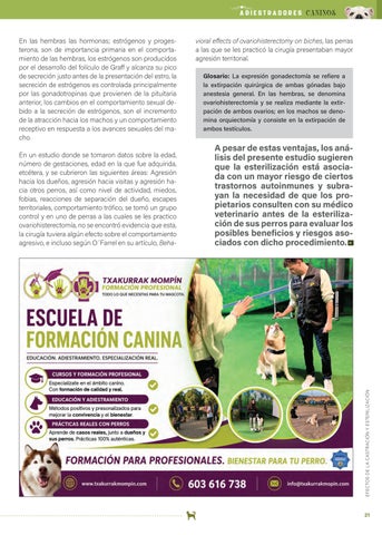 ADIESTRADORES CANINOS ANACP Nº1 第 21 页