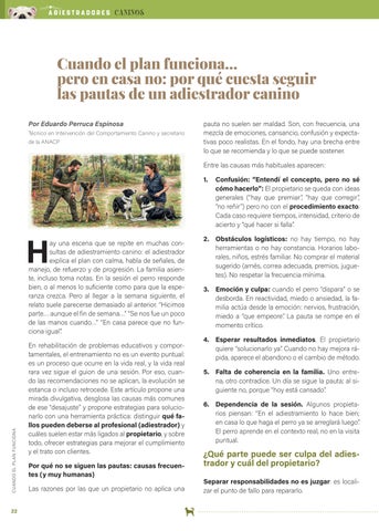 ADIESTRADORES CANINOS ANACP Nº1 第 22 页