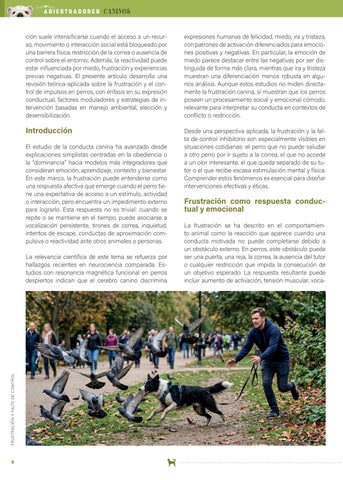ADIESTRADORES CANINOS ANACP Nº1 第 6 页