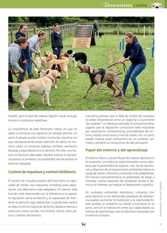ADIESTRADORES CANINOS ANACP Nº1 第 7 页