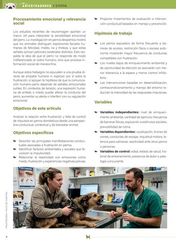 ADIESTRADORES CANINOS ANACP Nº1 第 8 页