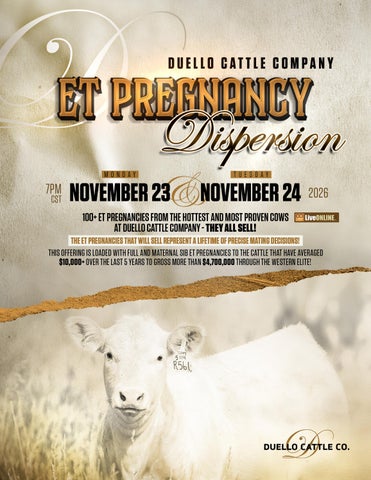 Duello Cattle Company ET Pregnancy Dispersion - Preview