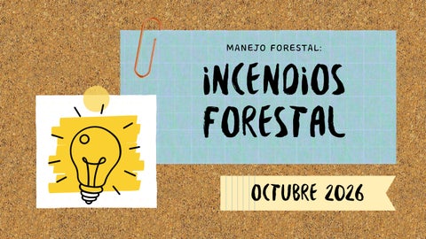 Presentación - Lluvia de ideas - Pizarrón - Diapositivas digitales, colores amarillo y azul, estilo 