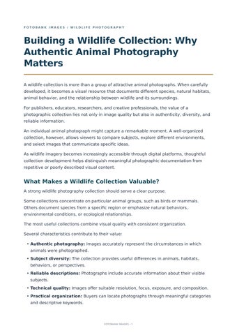 Wildlife_Collection_Authentic_Animal_Photography_FotoBank_Images