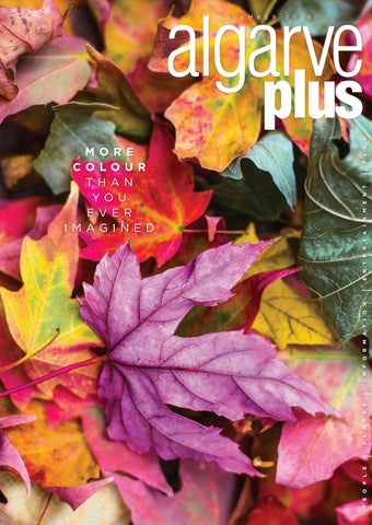 AlgarvePlus - November '26