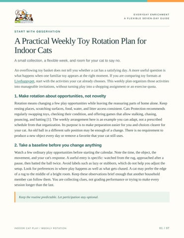 A Practical Weekly Toy Rotation Plan for Indoor Cats