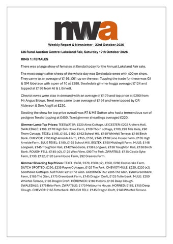 NEWSLETTER 231026