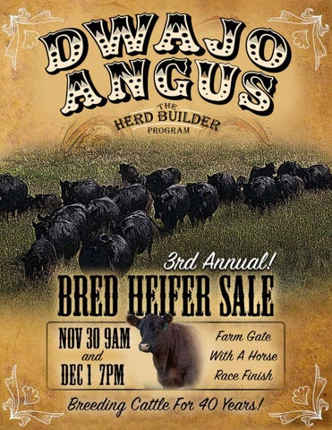 Dwajo Angus Bred Heifer Sale 2026