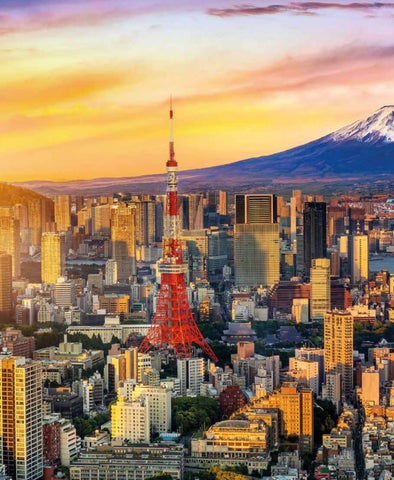 Sunrise Destinations 第 10 页