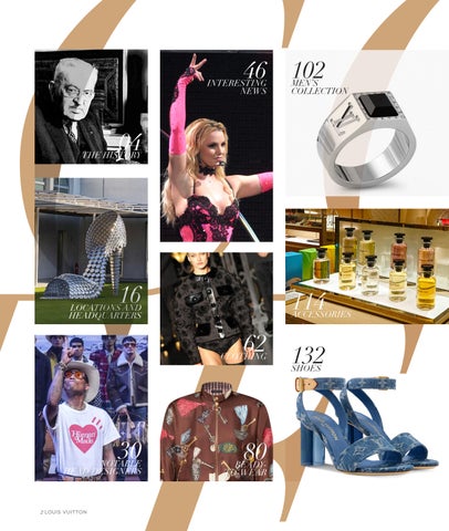 Louis Vuitton 版 第 2 页