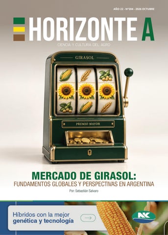 HORIZONTE A N°204