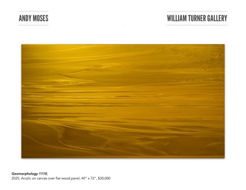Andy Moses Tearsheet 第 7 页