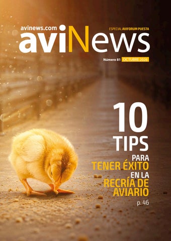Avinews españa Octubre 2026