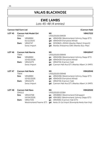 Cannon Hall 灯饰目录 071126 第 18 页