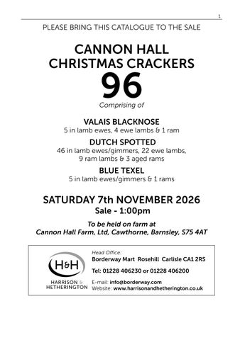 Cannon Hall 灯饰目录 071126 第 3 页