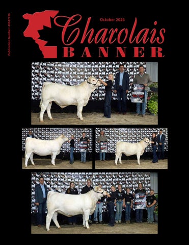 October 2026 Charolais Banner
