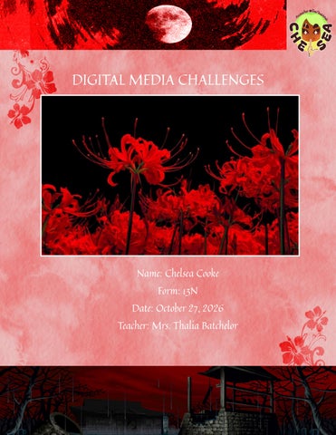 Digital Media Challenges [C.Cooke|26.10.2026]
