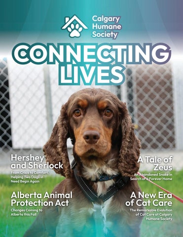 2026 Fall | Connecting Lives