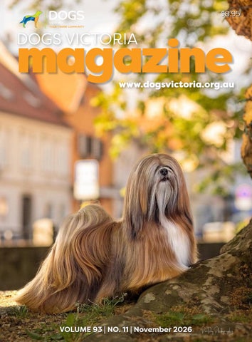 DV NOVEMBER Magazine 2026