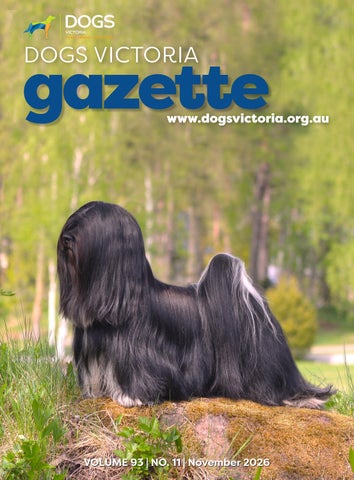DV NOVEMBER Gazette 2026