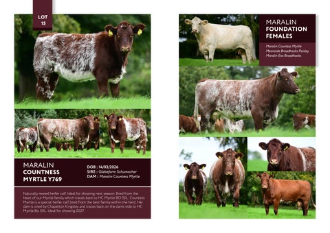 Glebefarm BSH 2026 第 10 页