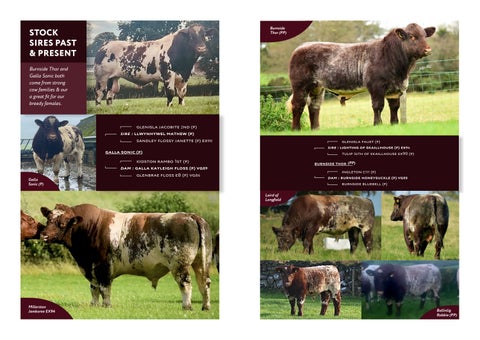 Glebefarm BSH 2026 第 12 页