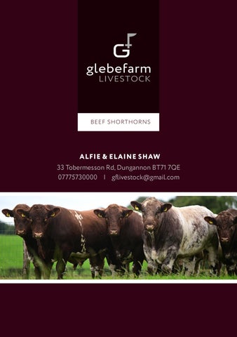 Glebefarm BSH 2026 第 13 页
