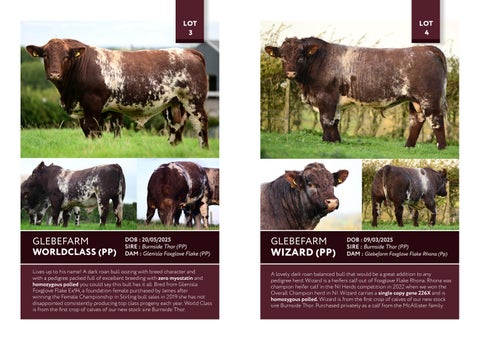Glebefarm BSH 2026 第 4 页