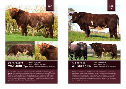 Glebefarm BSH 2026 第 5 页