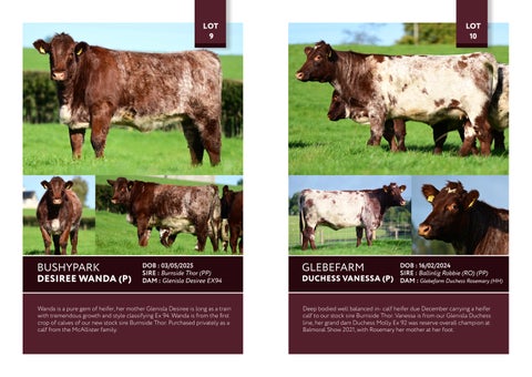 Glebefarm BSH 2026 第 7 页