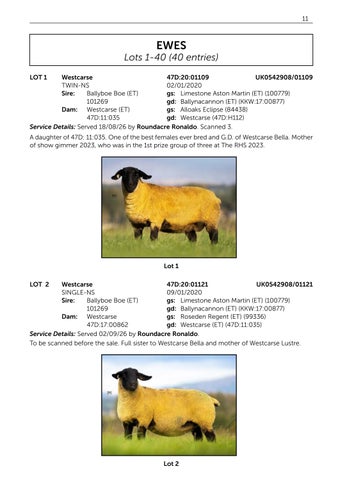 Westcarse 131126 第 13 页
