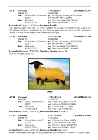 Westcarse 131126 第 15 页