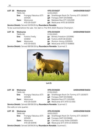 Westcarse 131126 第 18 页