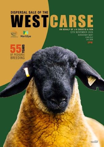 Westcarse 131126 第 1 页