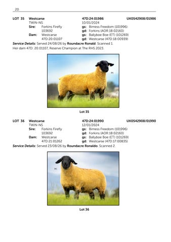 Westcarse 131126 第 22 页