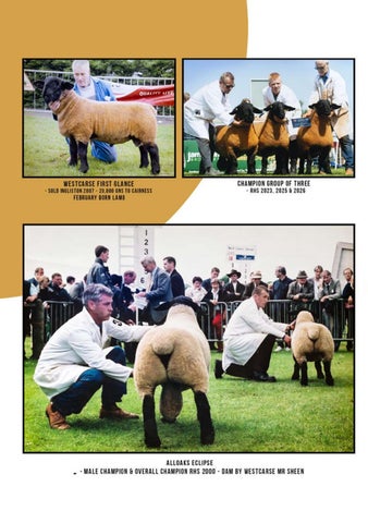 Westcarse 131126 第 9 页