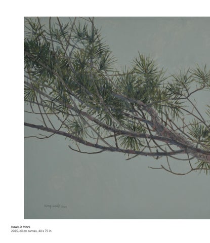 Kingswood 灯饰目录 , In a Silent Way 第 14 页