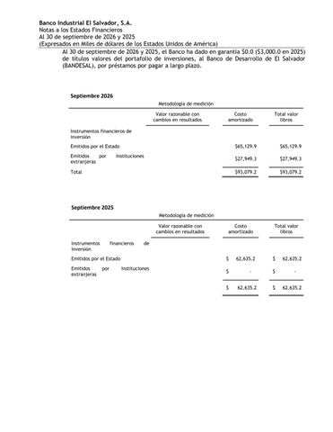 Notas 德文 publicación - 300926/Publico 第 17 页