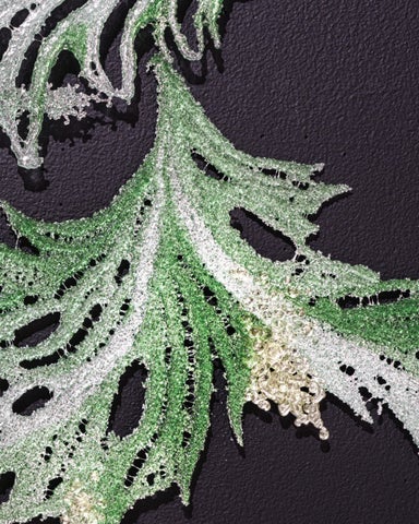 Kate Clements : Nocturnes 第 23 页