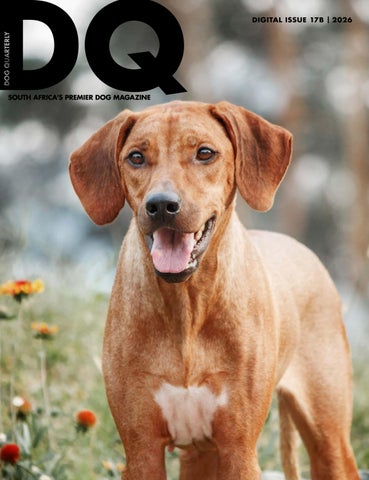 DQ Magazine Issue 17B