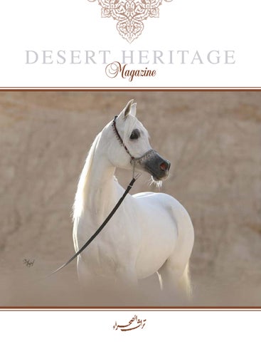 Desert Heritage n.74