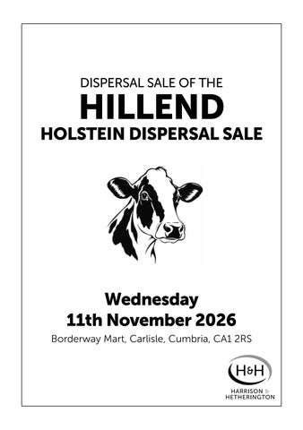 Hillend 111126 第 1 页