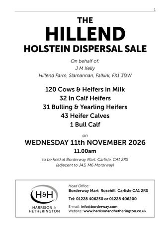 Hillend 111126 第 3 页