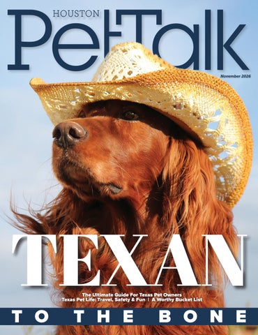 PetTalk November 2026 